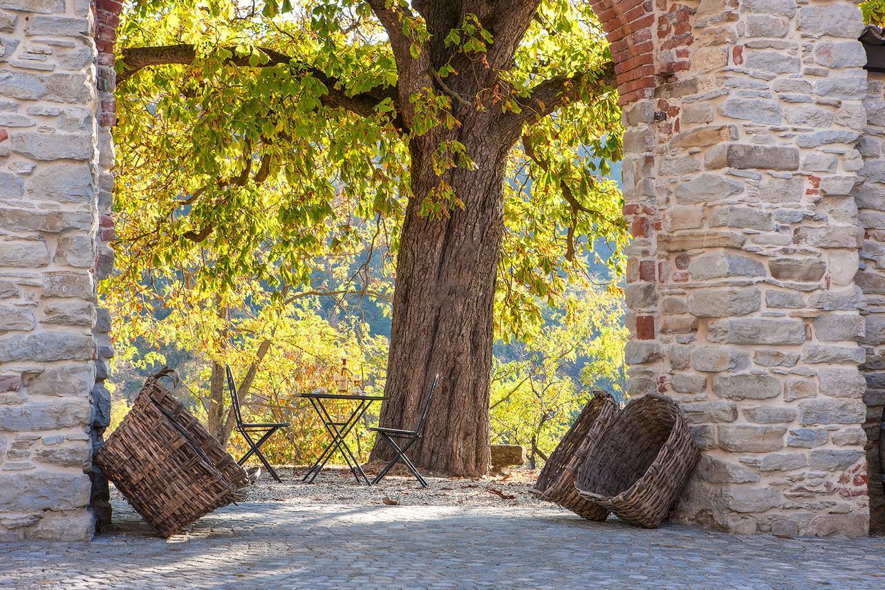 Hemanaire Bed and Breakfast Cremolino Buitenkant foto